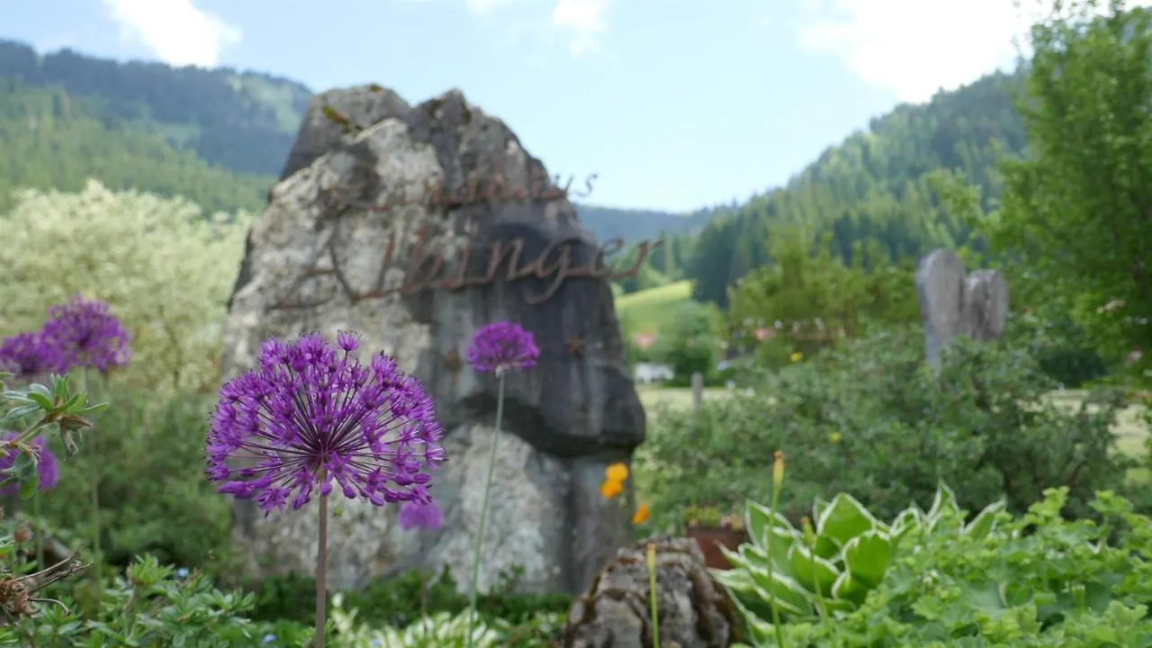 Albingers Landhaus Balderschwang Apartment