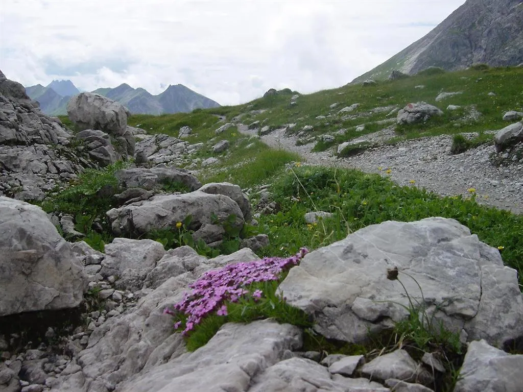 Albingers Landhaus Balderschwang 0*,